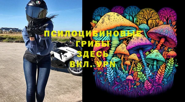 дурь Алексеевка