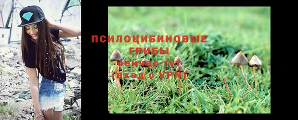 дурь Алзамай